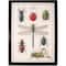 Thea Gouverneur Since 1959® Insects Counted Cross Stitch Kit